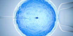 Beschreibendes Bild einer künstlichen Befruchtung