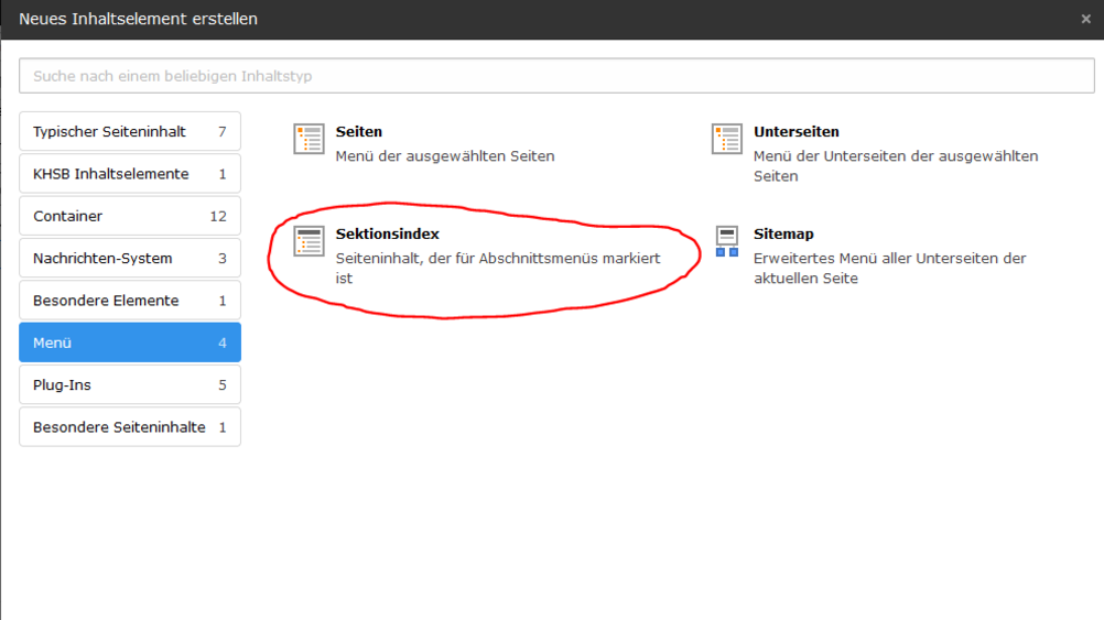 Screenshot Typo3 Sektion-Index