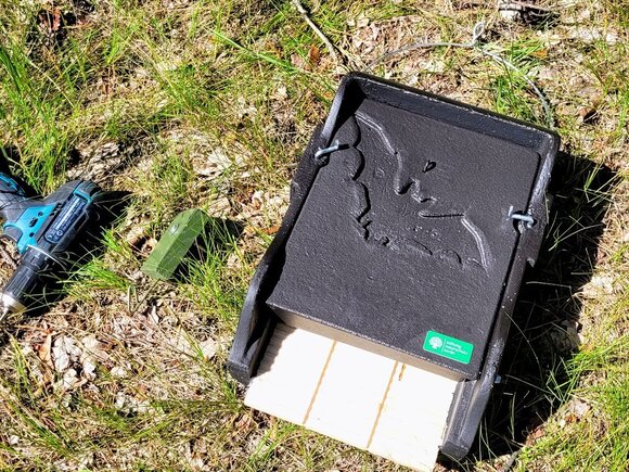 Fledermauskasten der Stiftung Naturschutz, der auf dem KHSB Campus angebracht wird