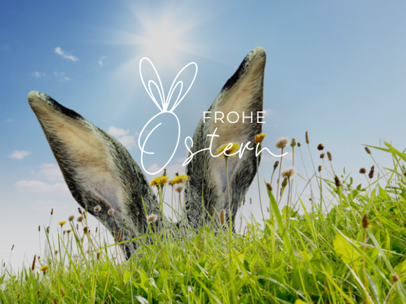 Symbolbild: Ostern, Hasenohren im Gras