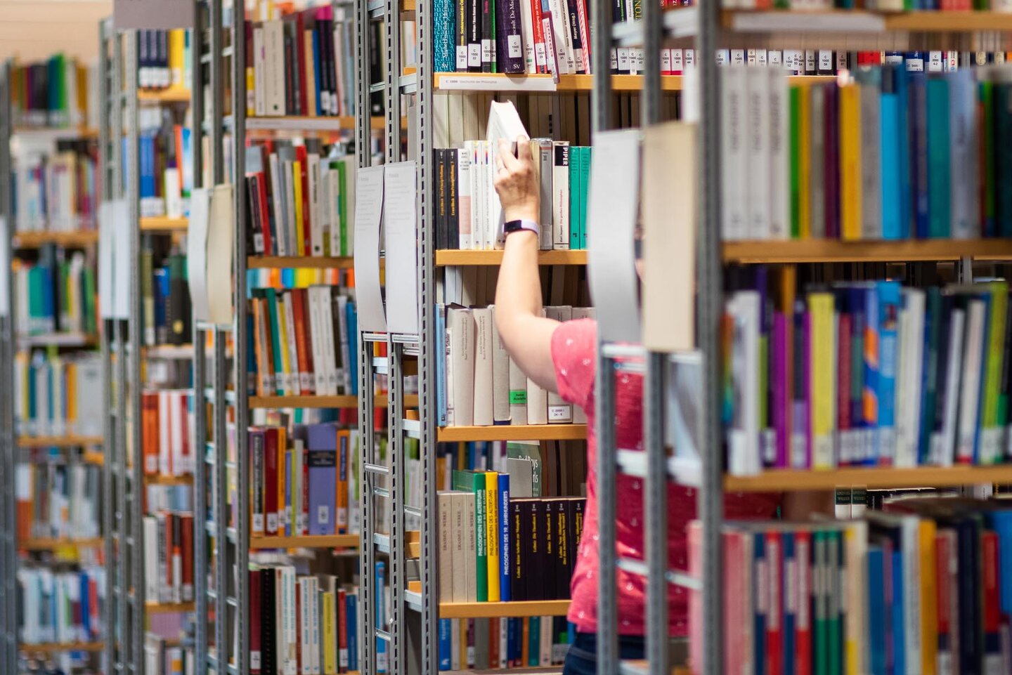 Die Bücherregale in der Bibliothek sind zu sehen. 