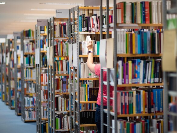 Die Bücherregale in der Bibliothek sind zu sehen. 