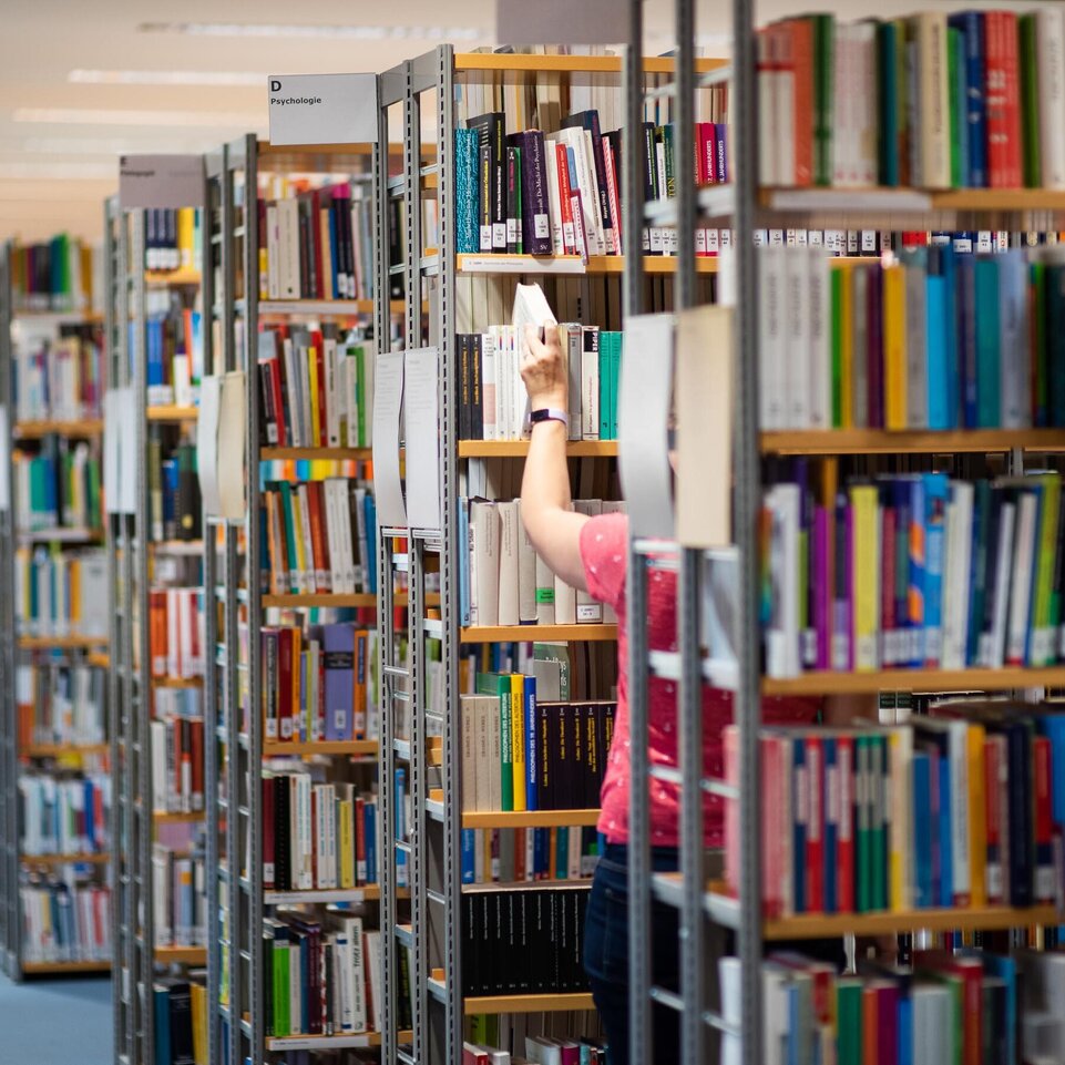 Die Bücherregale in der Bibliothek sind zu sehen.