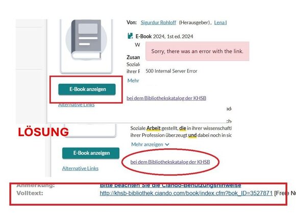 Ansicht aus dem OPAC mit dem markierten Link zum Volltext