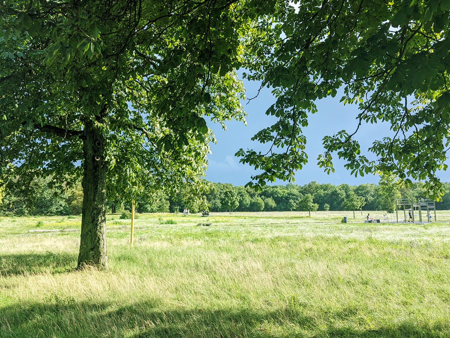 Wuhlheide