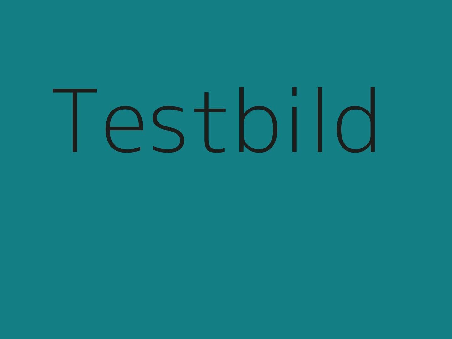 Testbild alt-text