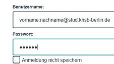 Abgebildet ist das Anmeldeformular für den Fernzugriff.