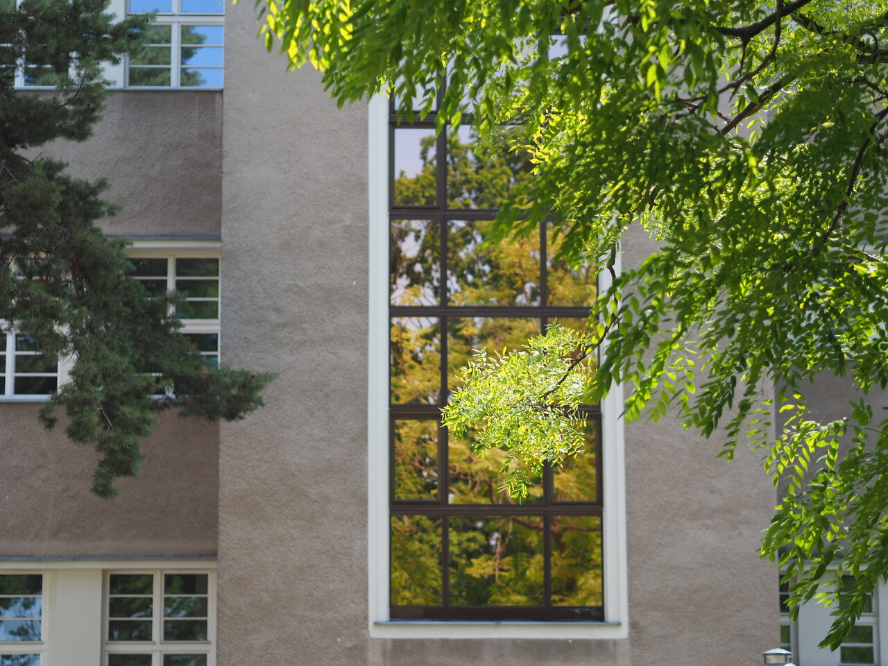 Die Fensterfront des KHSB Treppenhauses.