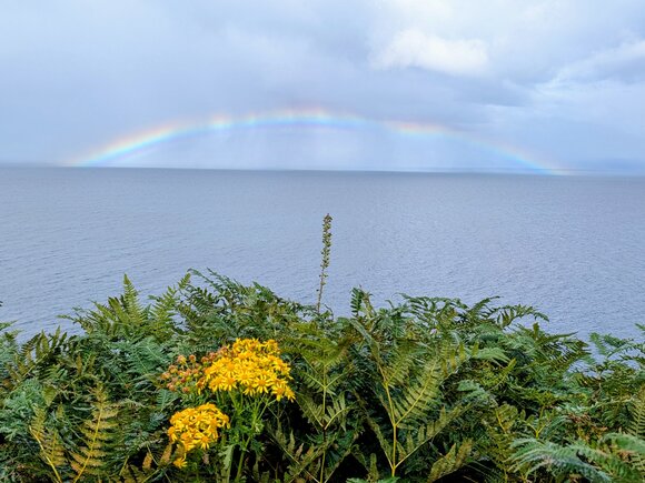 Regenbogen bei Staffin über dem Meer
