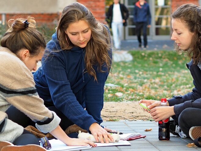 Studierende