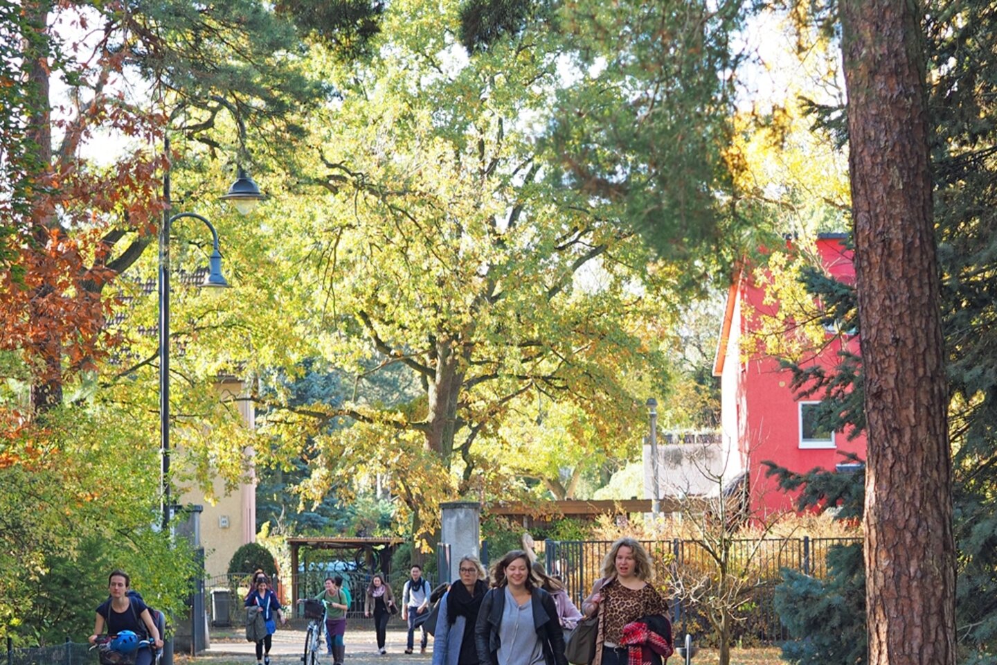 Studierende kommen die Auffahrt zur Hochschule entlang
