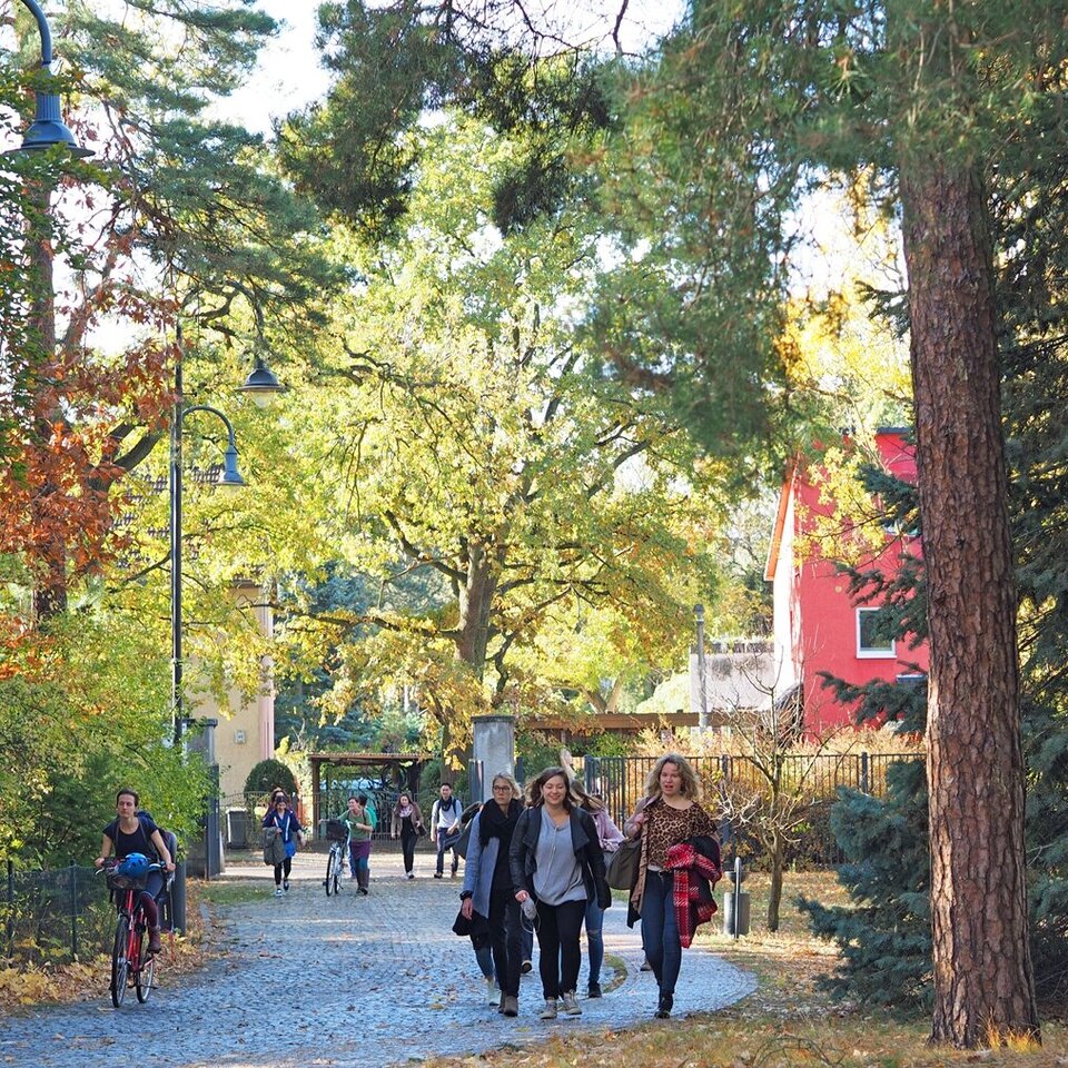 Studierende kommen die Auffahrt zur Hochschule entlang