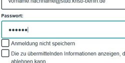 Abgebildet ist das Anmeldeformular für den Fernzugriff.