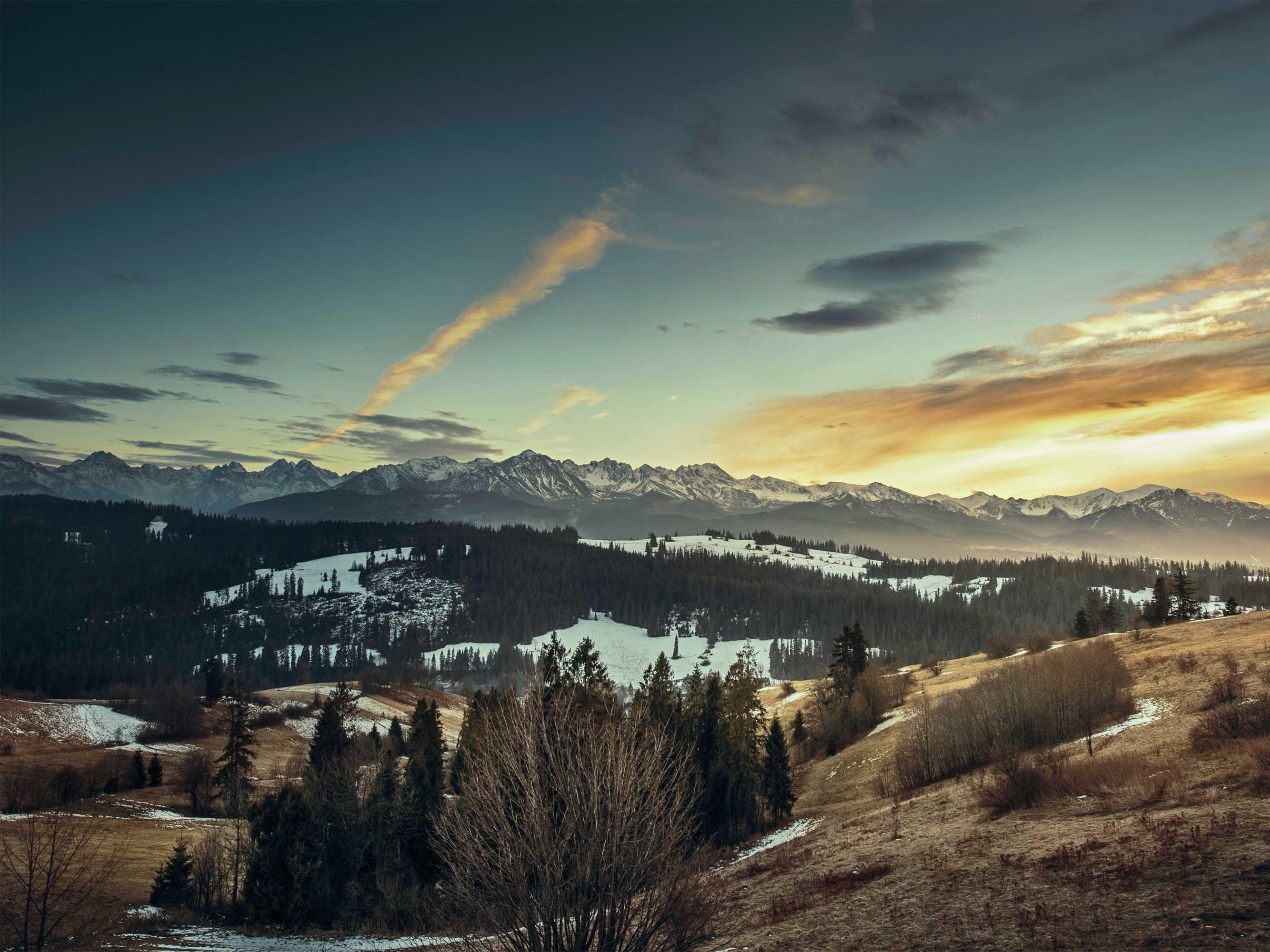 Wald und Berge