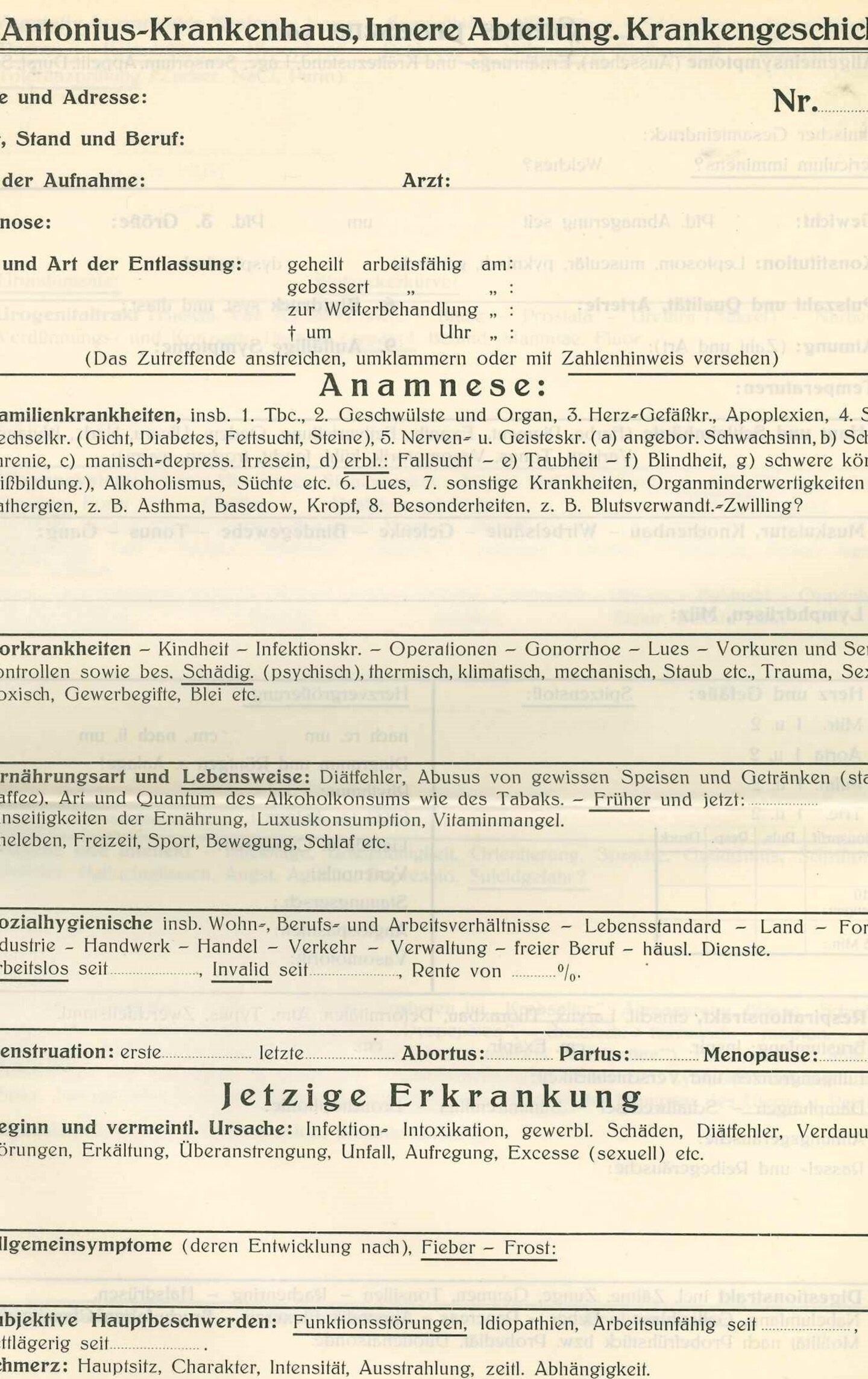 „Auszug Anamnesebogen“