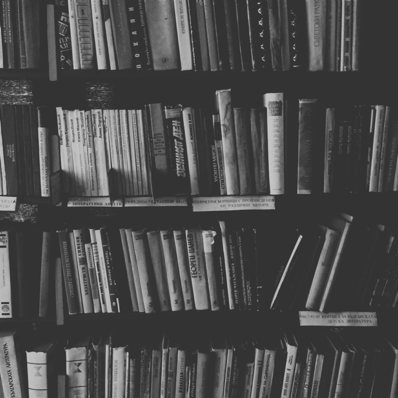 Ein großes Regal voller Fachliteratur