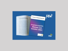 BHP-Praxispapier Eingliederungshilfe