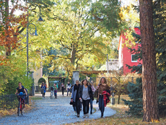 Studierende auf dem Campus der KHSB