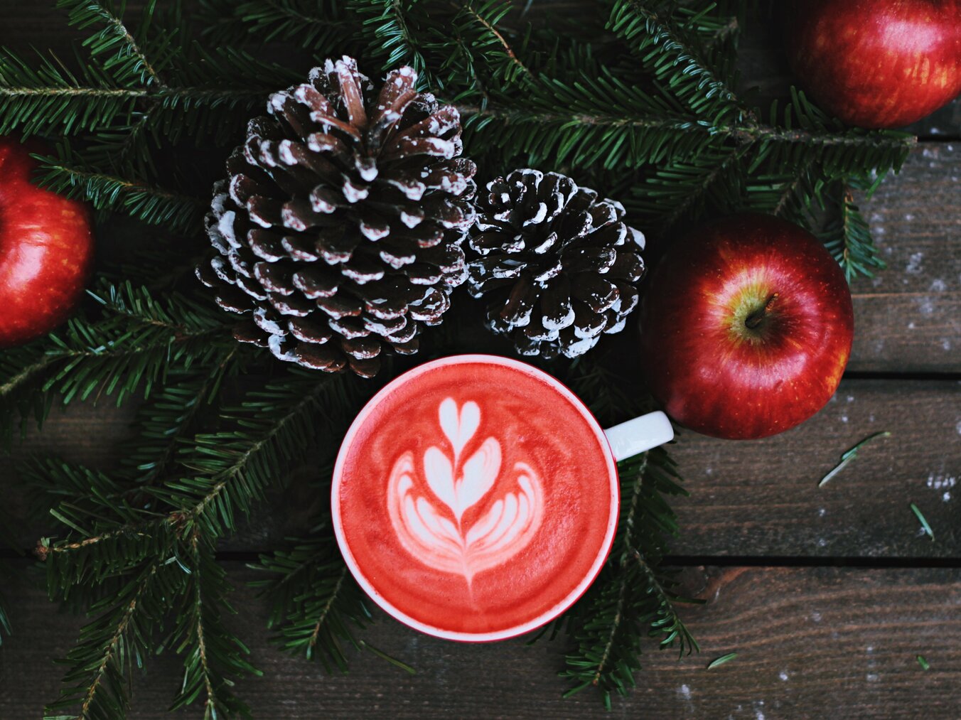 Tasse im weihnachtlichen Ambiete mit Äpfeln und Tannenzapfen