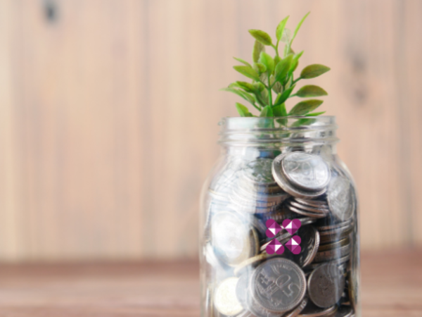 Glas mit Geld aus dem eine Pflanze wächst