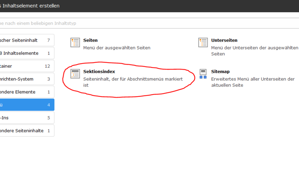 Screenshot Typo3 Sektion-Index