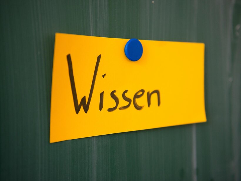 Partizipation in Praxis und Forschung
