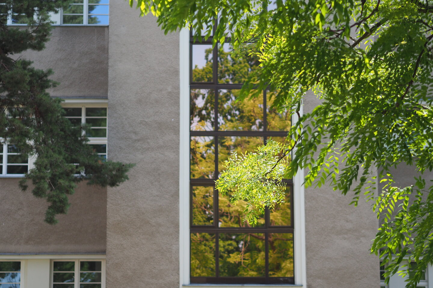 Die Fensterfront des KHSB Treppenhauses.