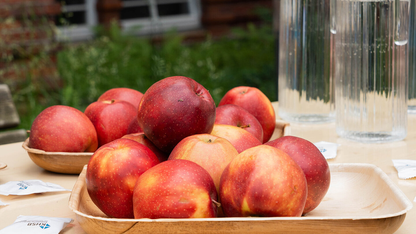 Frisches Obst für zwischendurch – gesunde Snacks beim Tag der offenen Tür.