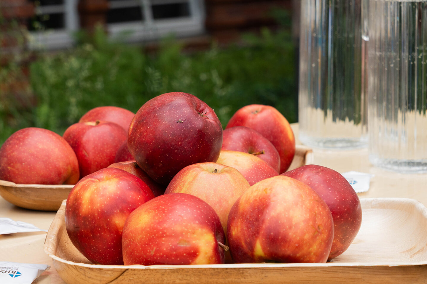 Frisches Obst für zwischendurch – gesunde Snacks beim Tag der offenen Tür.